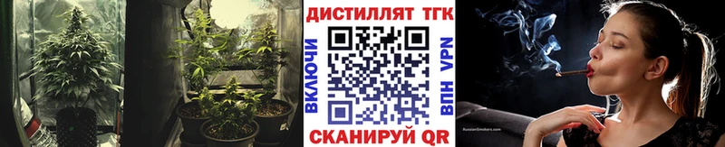 ТГК Wax  Купить где  Зеленоградск 